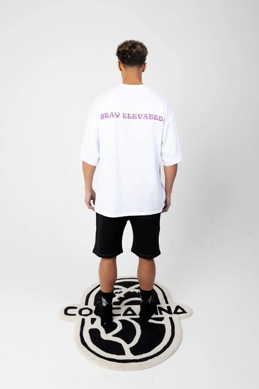French Terry Shorts